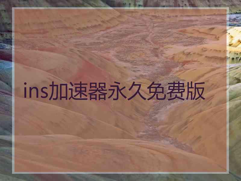 ins加速器永久免费版