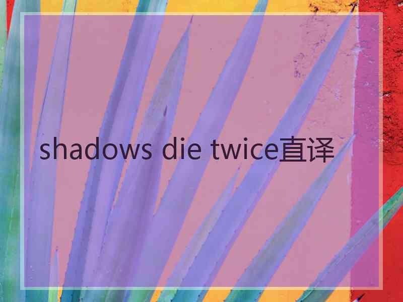 shadows die twice直译