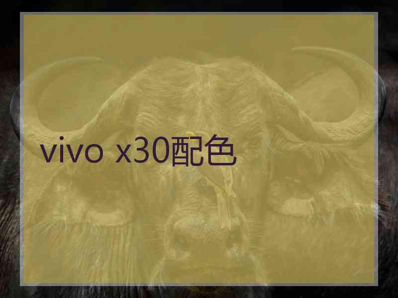 vivo x30配色