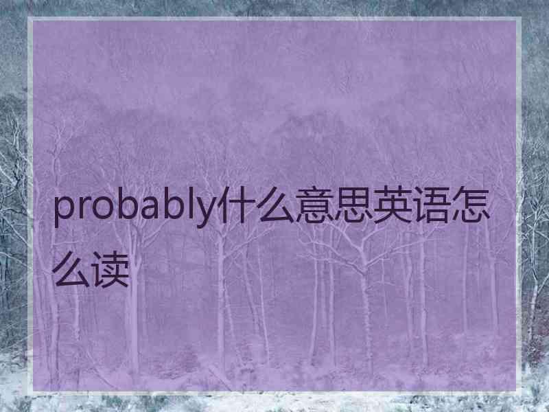 probably什么意思英语怎么读