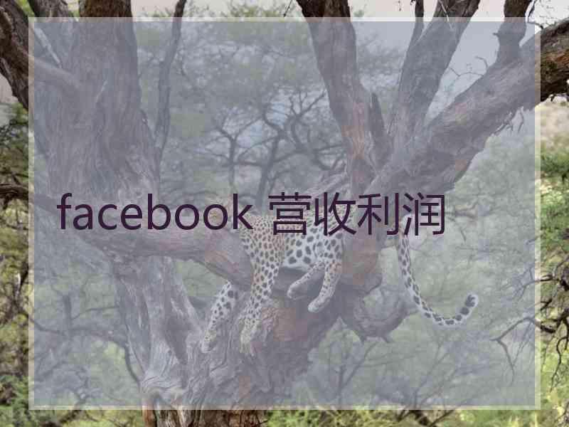 facebook 营收利润