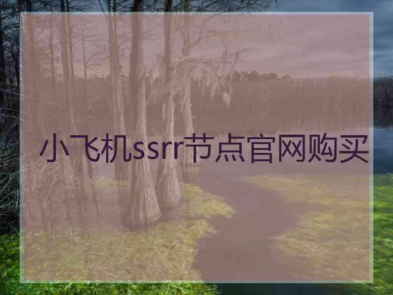 小飞机ssrr节点官网购买