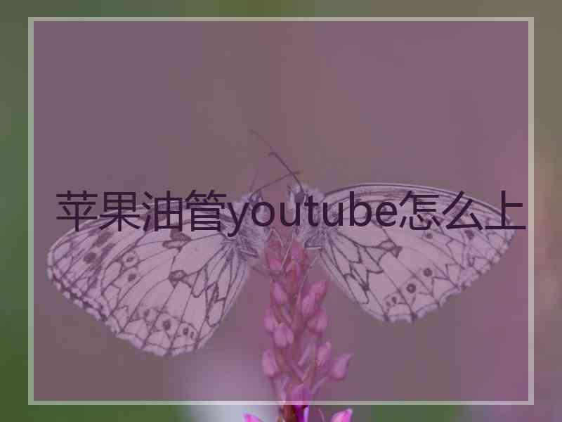 苹果油管youtube怎么上