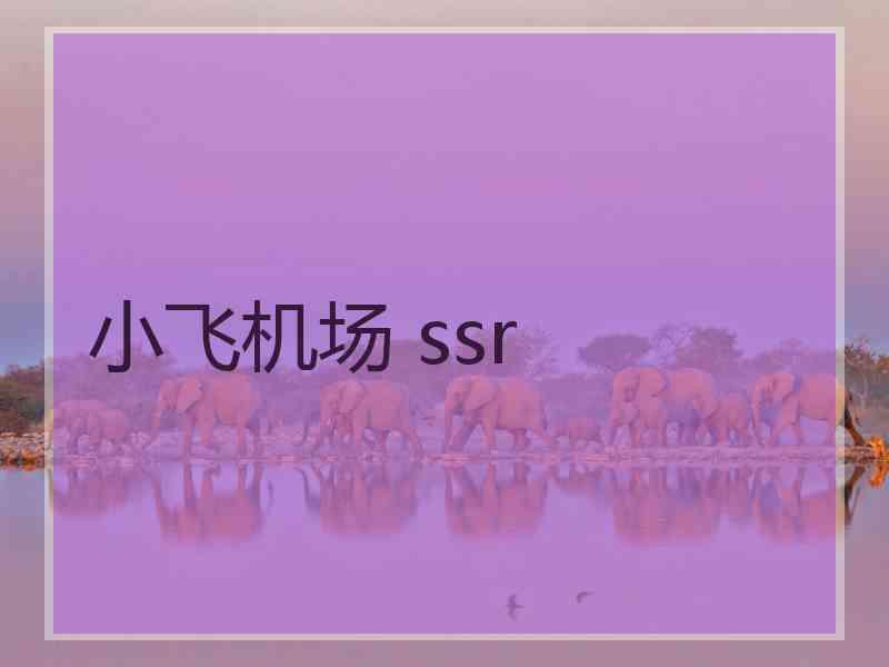 小飞机场 ssr