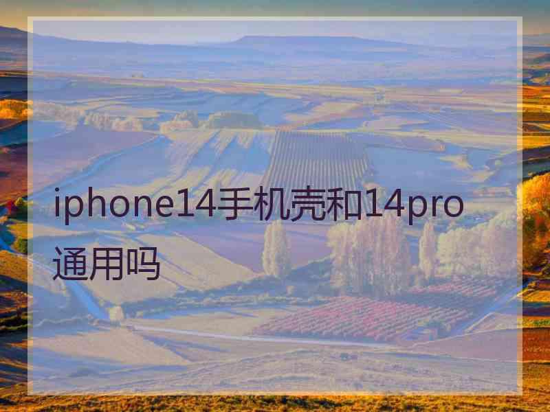 iphone14手机壳和14pro通用吗