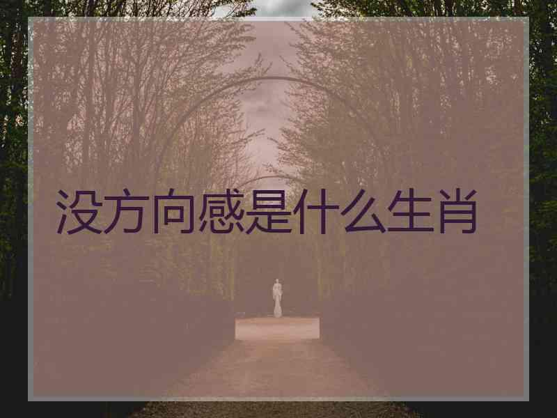 没方向感是什么生肖