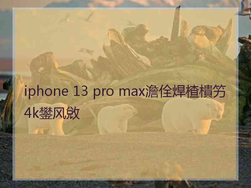 iphone 13 pro max澹佺焊楂樻竻4k鐢风敓