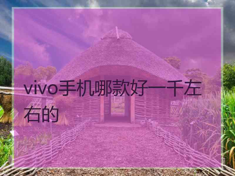 vivo手机哪款好一千左右的