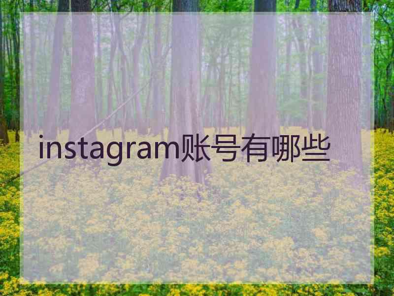 instagram账号有哪些