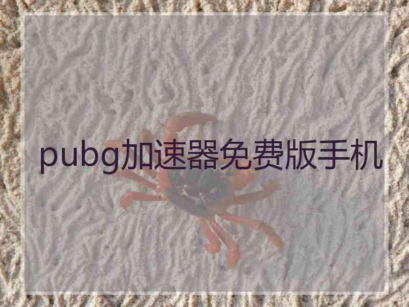 pubg加速器免费版手机