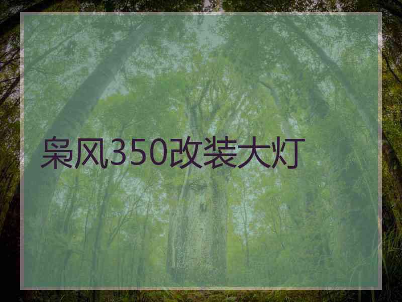 枭风350改装大灯