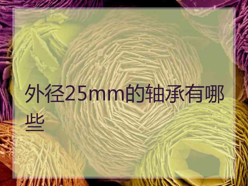 外径25mm的轴承有哪些