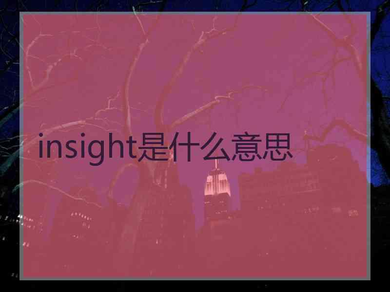 insight是什么意思