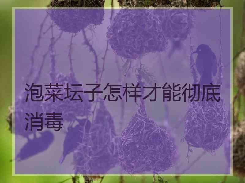 泡菜坛子怎样才能彻底消毒