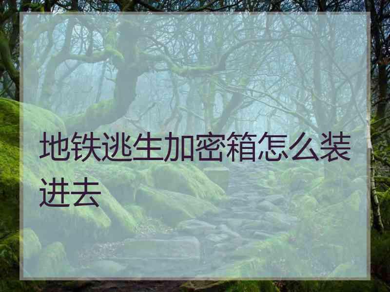 地铁逃生加密箱怎么装进去