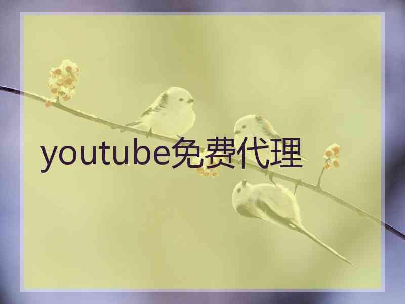 youtube免费代理