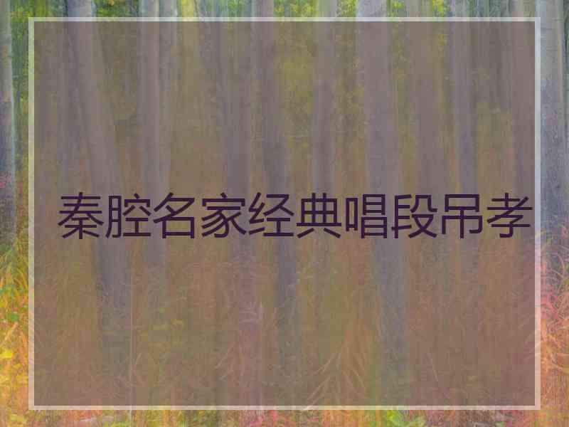 秦腔名家经典唱段吊孝