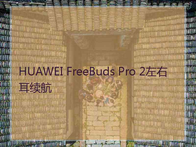 HUAWEI FreeBuds Pro 2左右耳续航