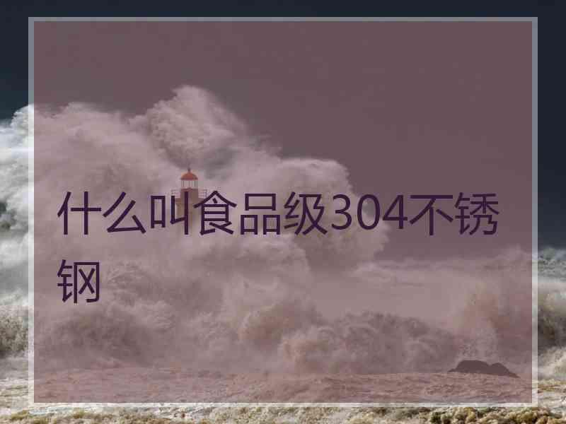 什么叫食品级304不锈钢