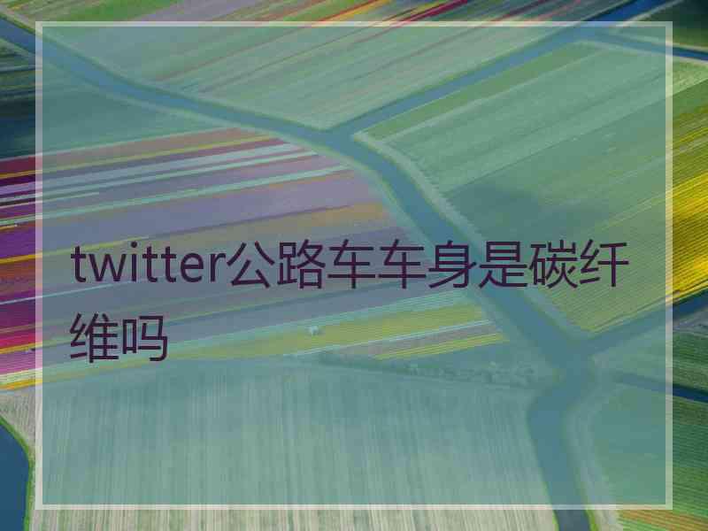 twitter公路车车身是碳纤维吗