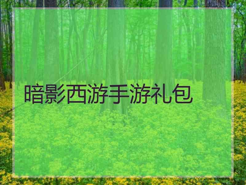 暗影西游手游礼包