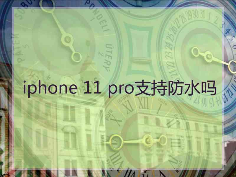 iphone 11 pro支持防水吗