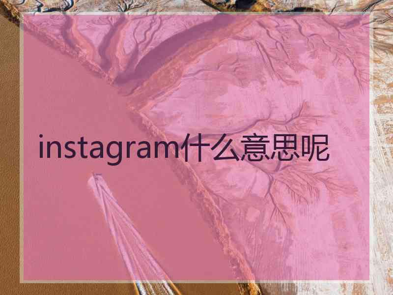 instagram什么意思呢