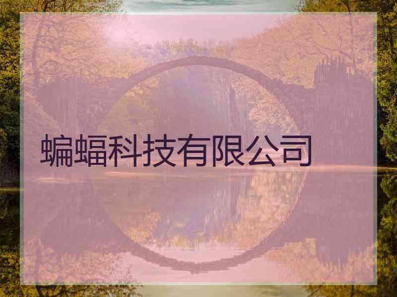 蝙蝠科技有限公司