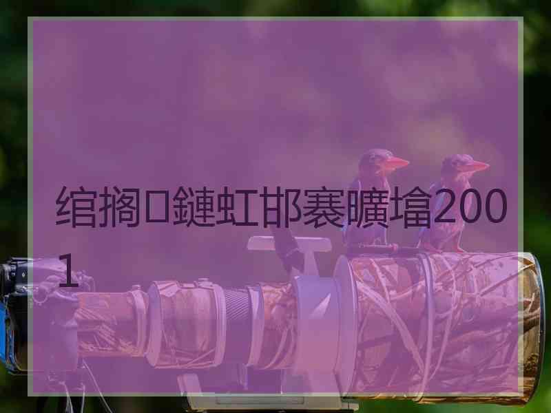 绾搁鏈虹邯褰曠墖2001