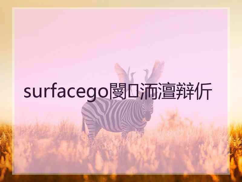 surfacego閿洏澶辩伒