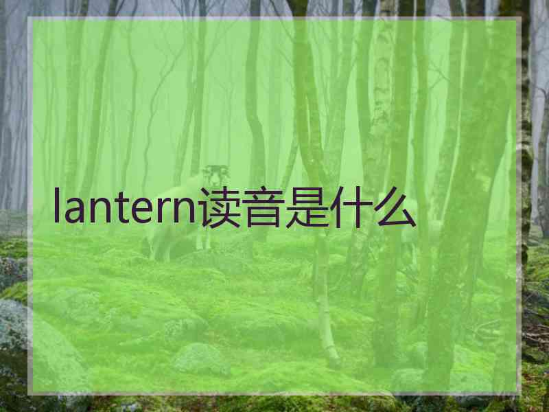 lantern读音是什么