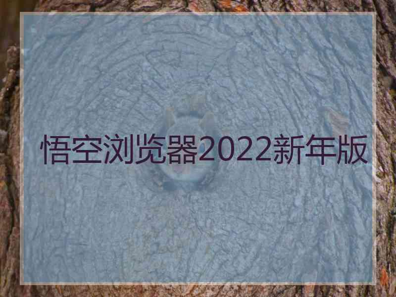 悟空浏览器2022新年版