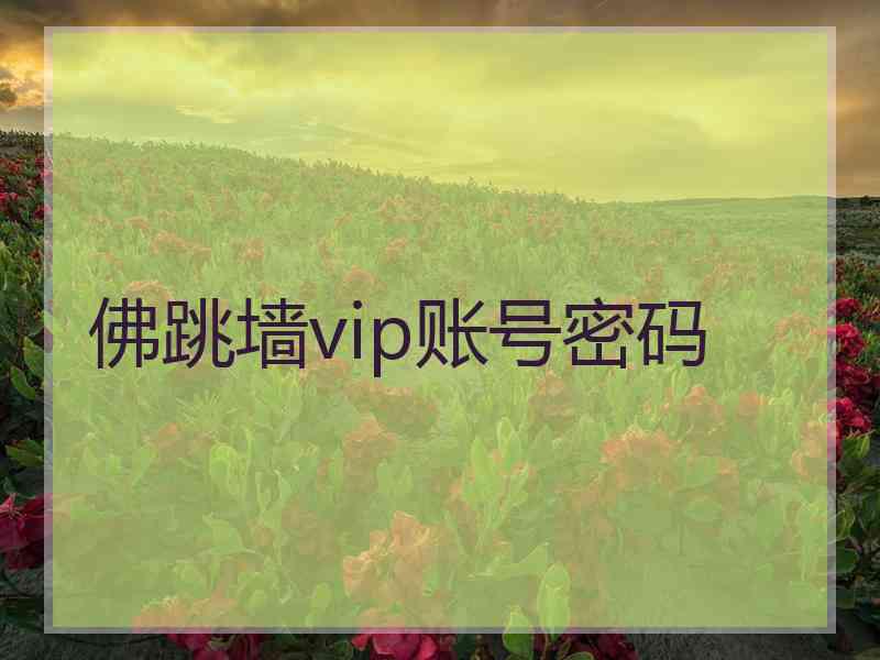 佛跳墙vip账号密码