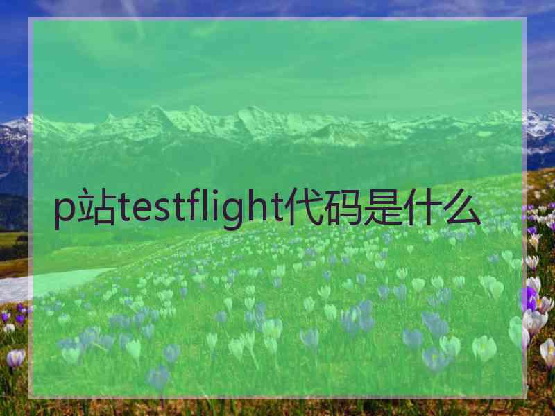 p站testflight代码是什么