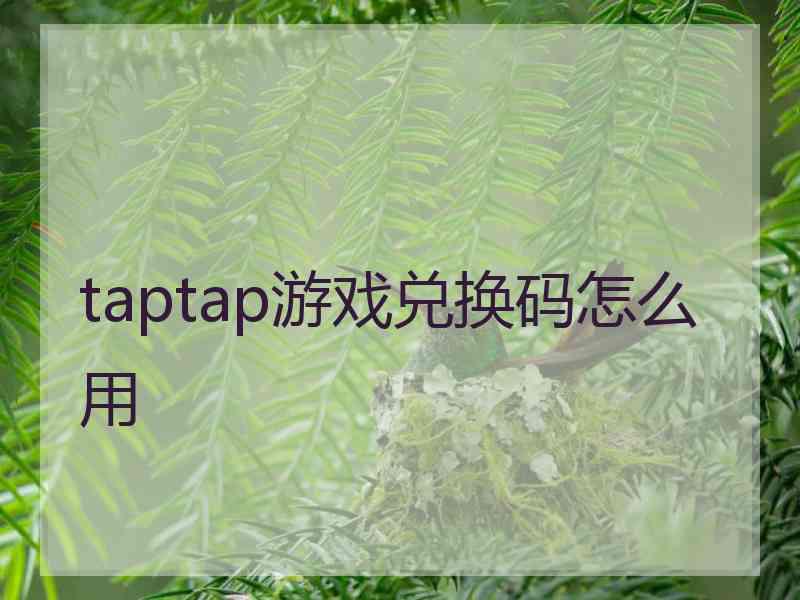 taptap游戏兑换码怎么用