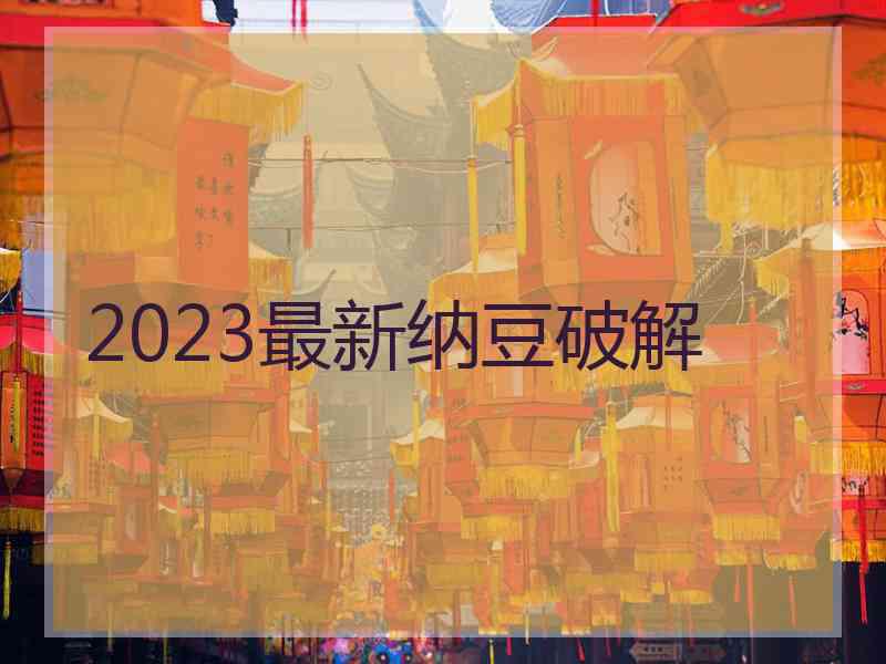 2023最新纳豆破解