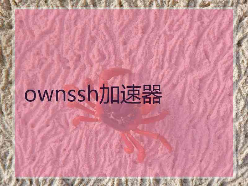 ownssh加速器