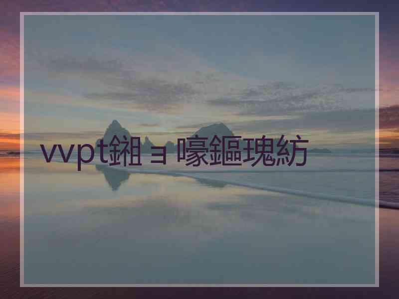 vvpt鎺ョ嚎鏂瑰紡