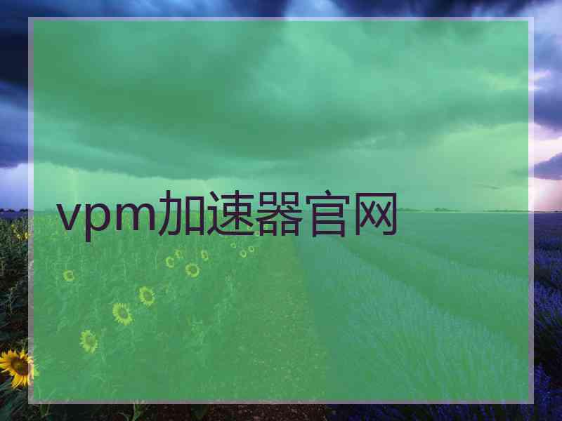 vpm加速器官网