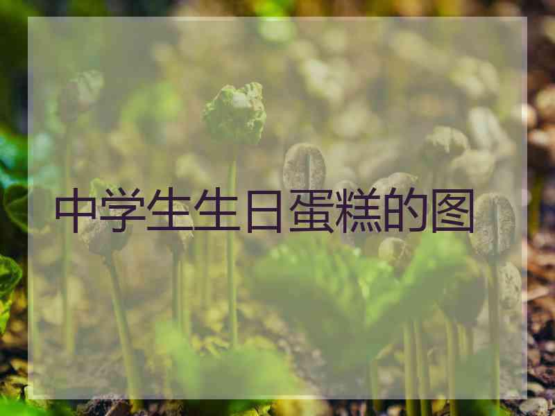 中学生生日蛋糕的图