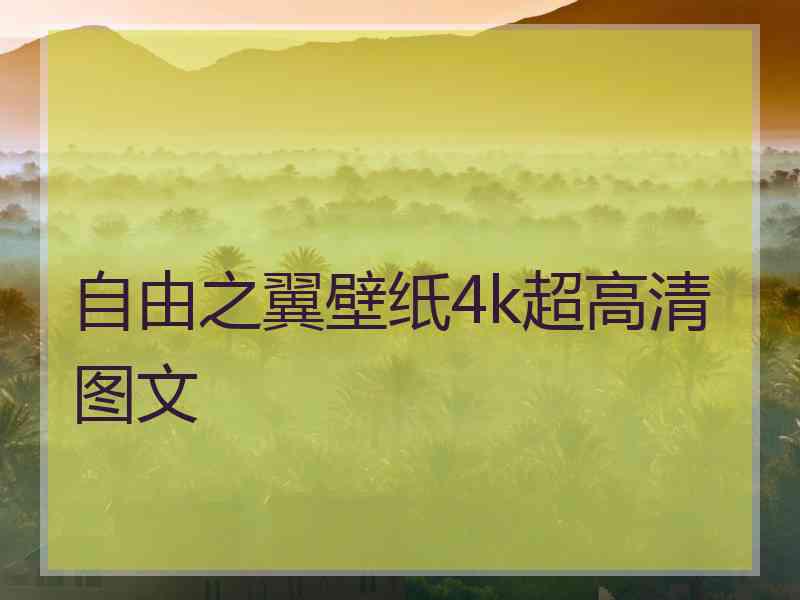 自由之翼壁纸4k超高清图文