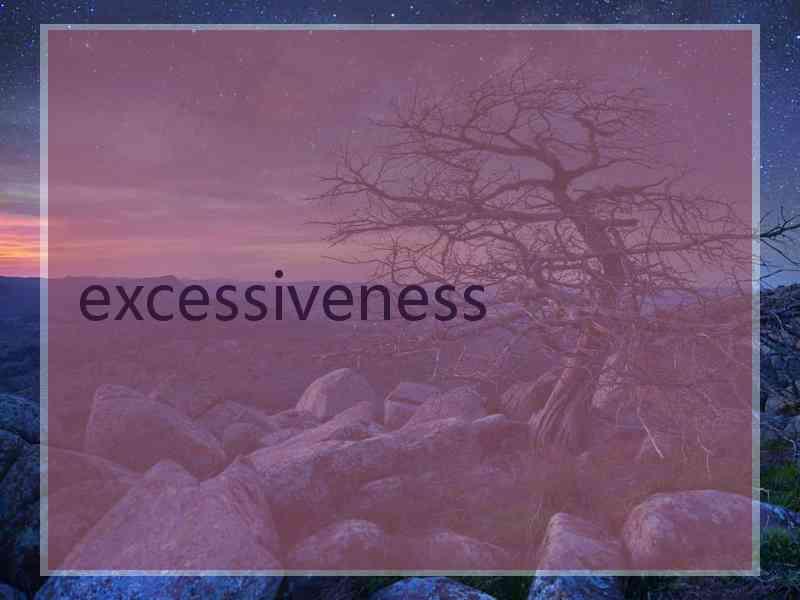 excessiveness