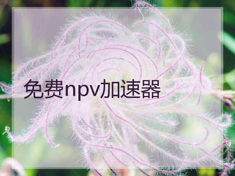 免费npv加速器