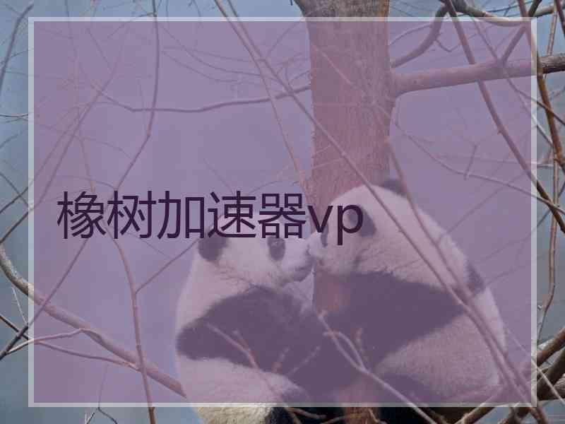 橡树加速器vp