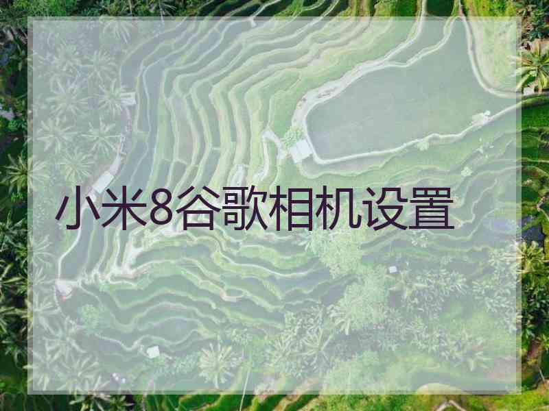 小米8谷歌相机设置