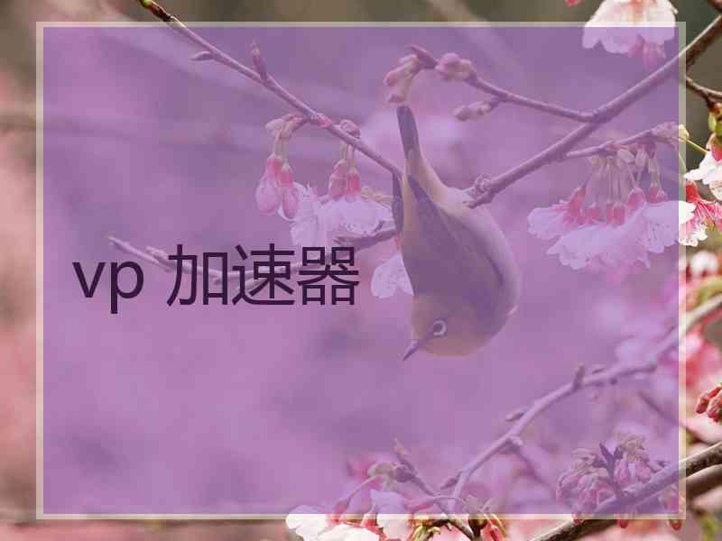 vp 加速器