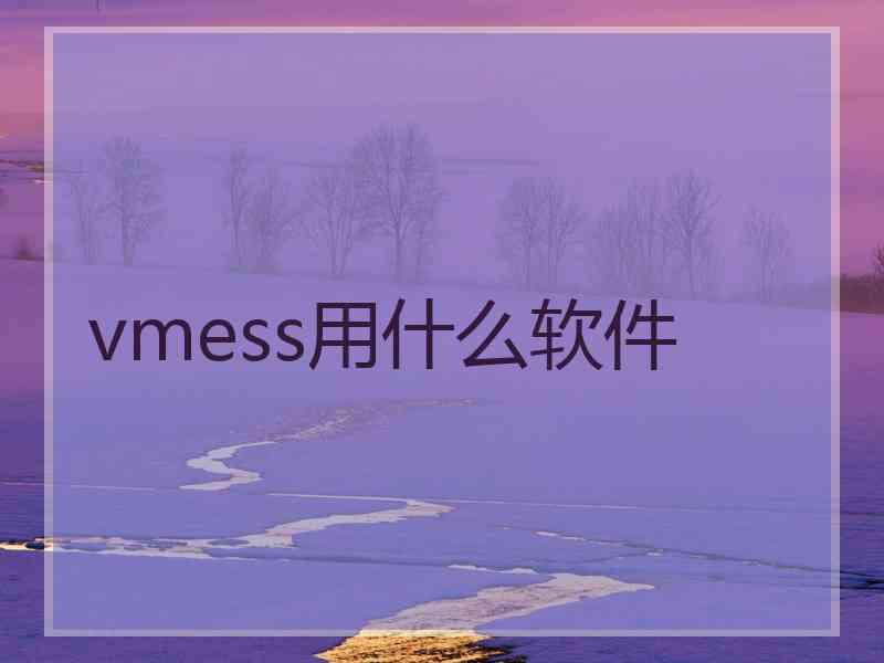 vmess用什么软件