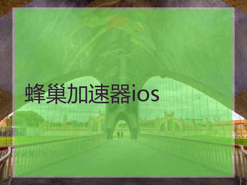 蜂巢加速器ios