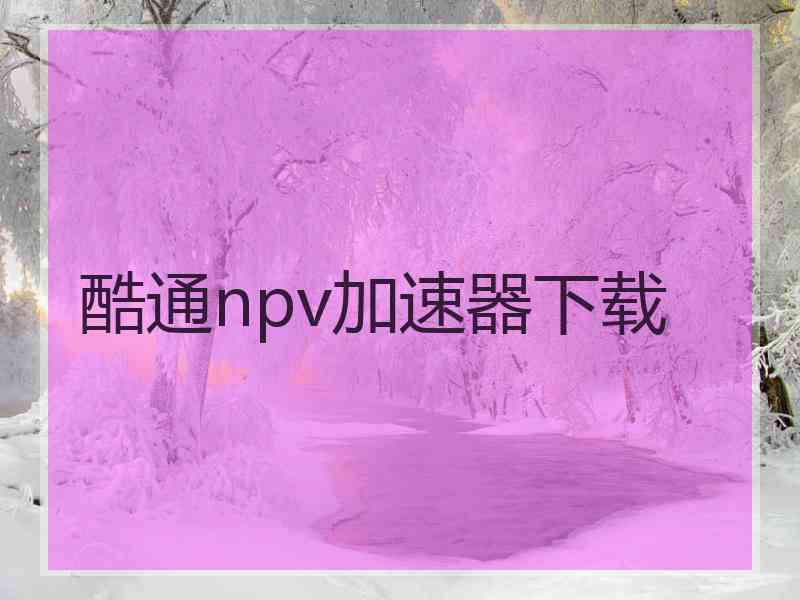 酷通npv加速器下载