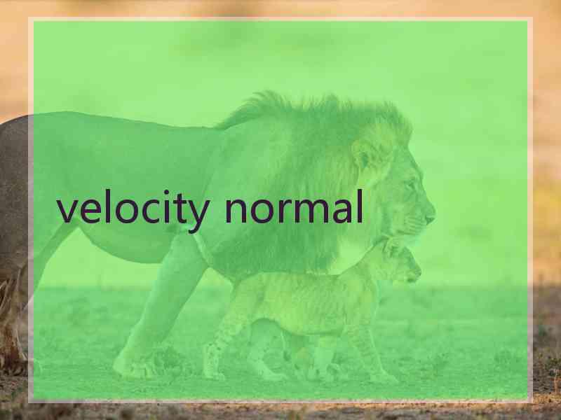 velocity normal